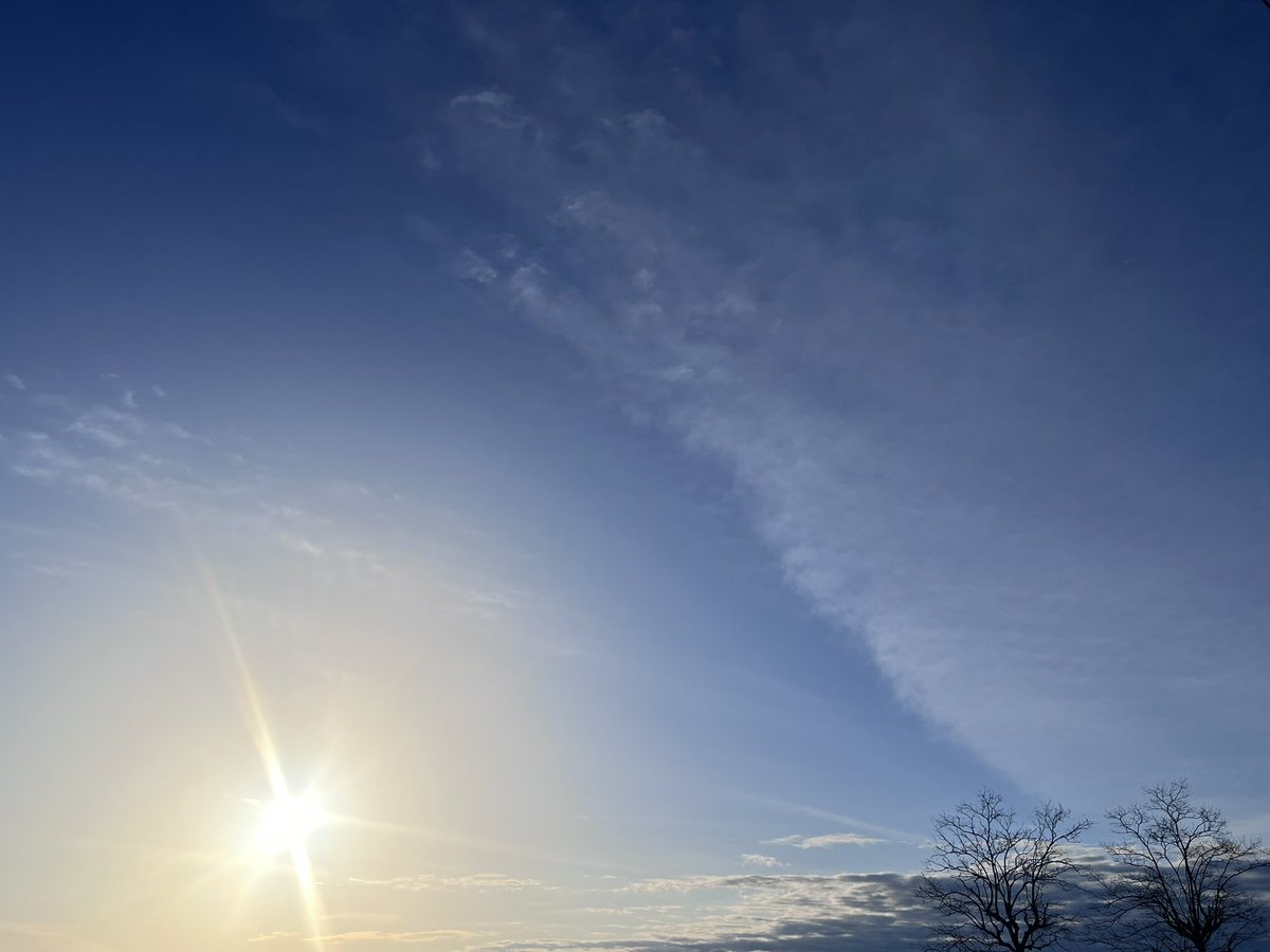 内藤聡 tweet media