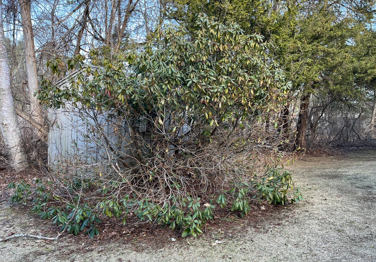 Jane Lebak janelebak.bsky.social tweet media