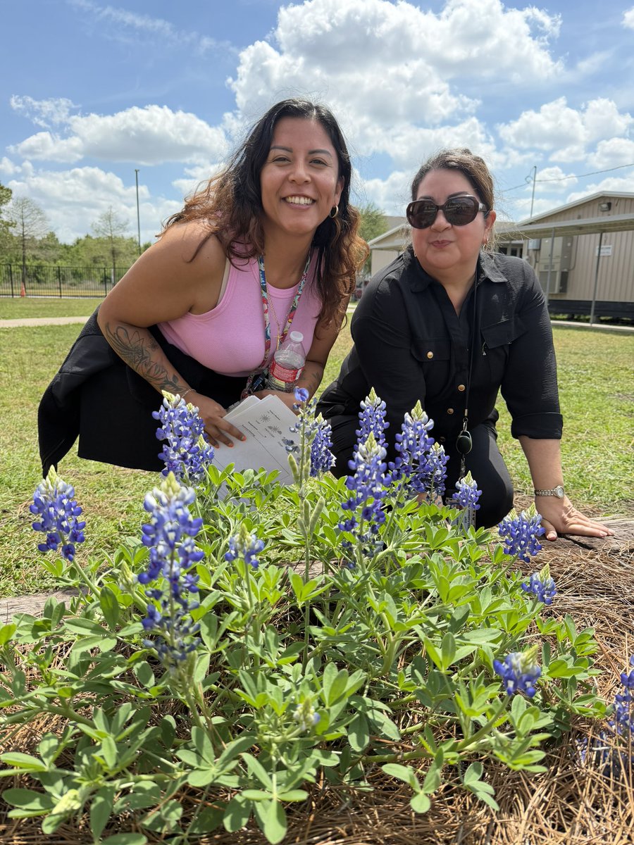 Ready to Grow Garden tweet media