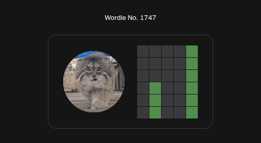 kebab🇹🇷 tweet media