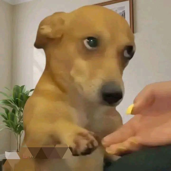 Shom 🕹️ tweet media