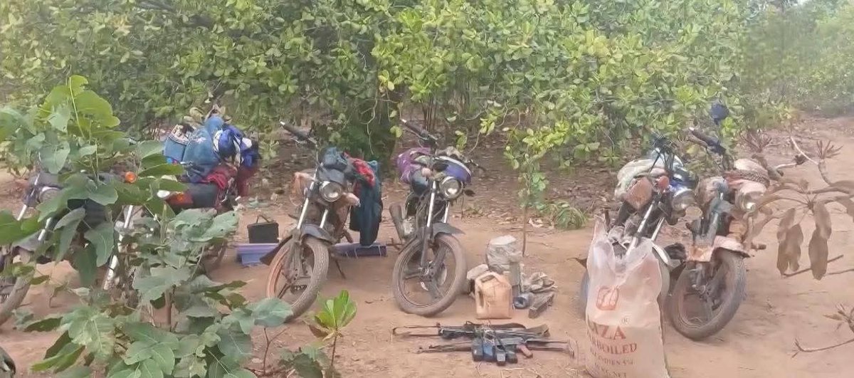 M. X. 📰 tweet media