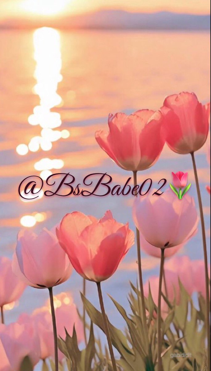 Juliette🌷🌷 tweet media