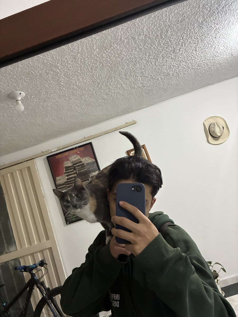Camiloooff's tweet photo. Mi vida no es vida si no estas aqui, Y de repente escucho tu maullido, corro a buscar pero el silencio me vuelve a matar, miro mi cama con la ilusión de que aparezcas acostada, cada noche espero llorando en secreto que aparezcas en mi pecho, no sabes lo mucho que te extraño 💔 https://t.co/C20Gvs58Vs