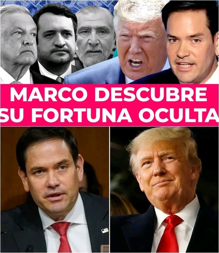 Contacto Revista tweet media