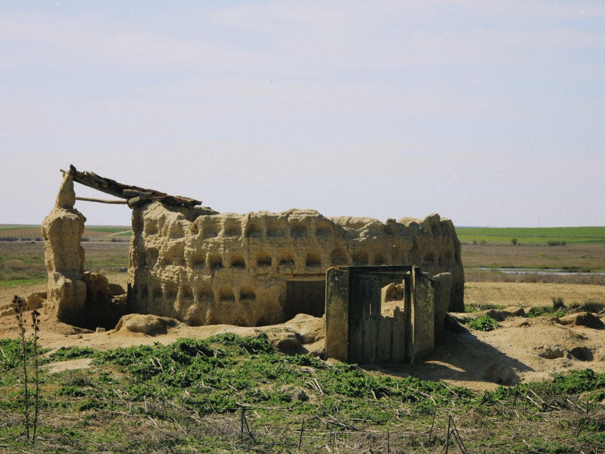 maría 🌾 tweet media