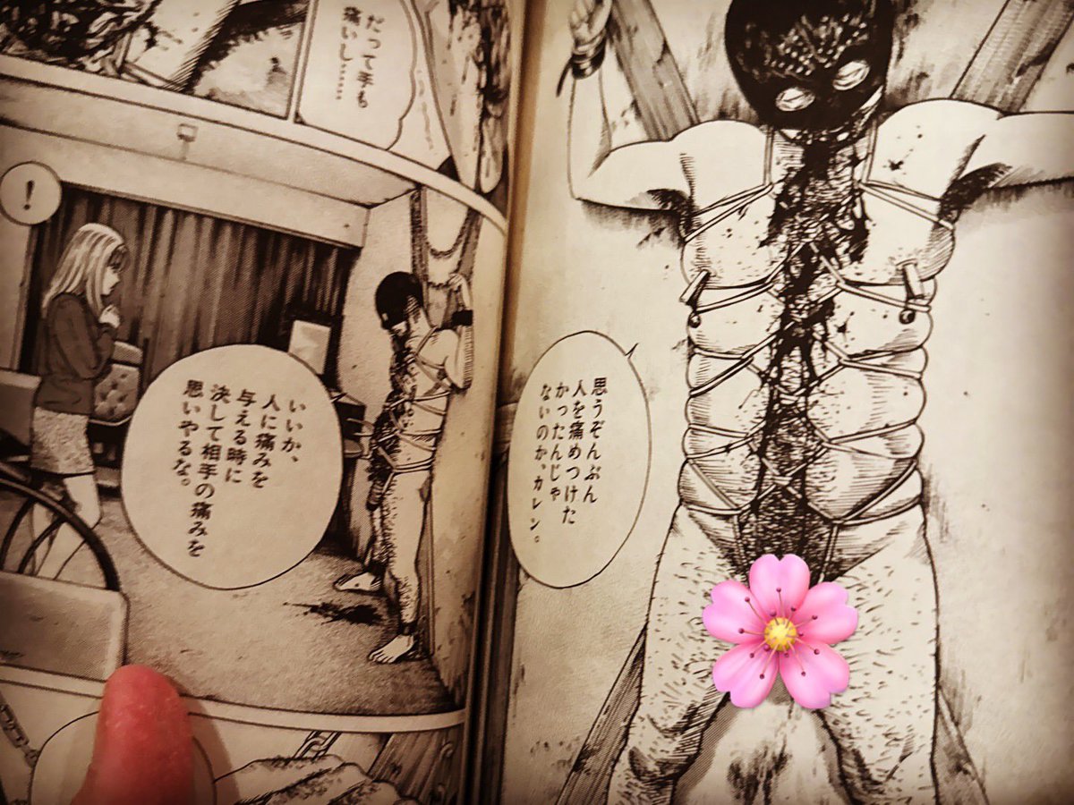 kakiharaism's tweet photo. these are old photos, I’ve rearranged things and added more … ♨️ https://t.co/WJK2ROmetk