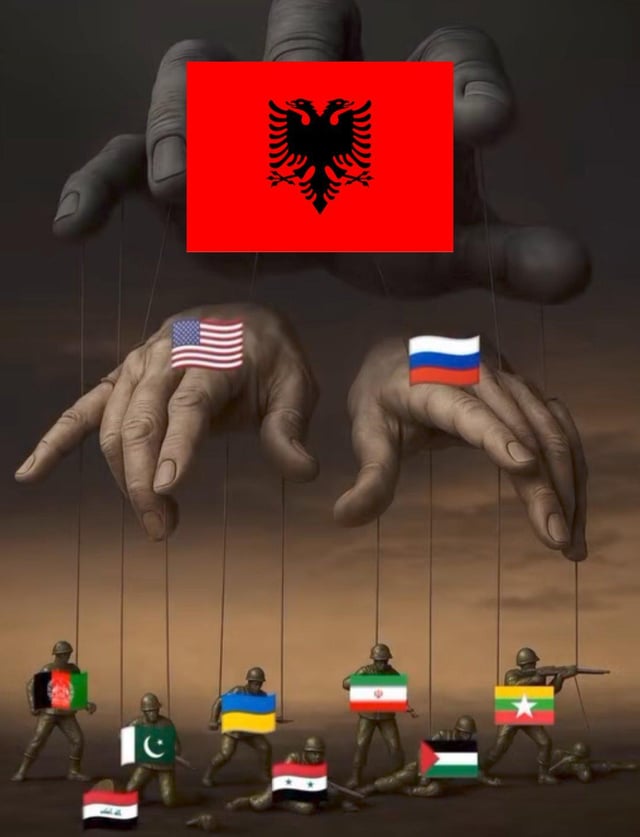 רוי ✨ tweet media