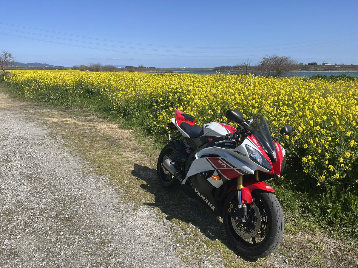 ぶぉん𝕏 tweet media