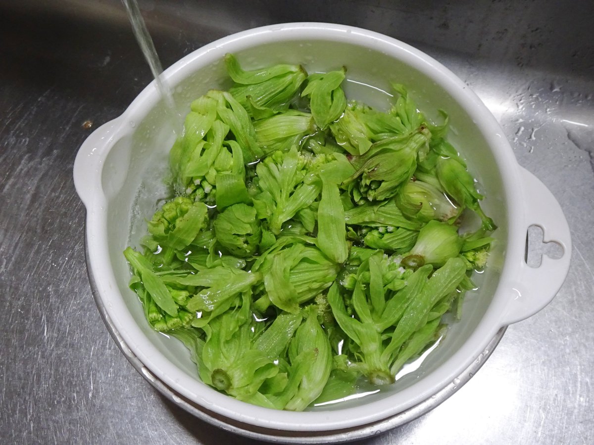 叶屋旅館@沓掛温泉 tweet media