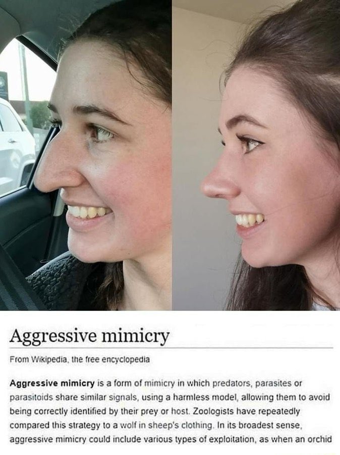 Amalek MuhBaals tweet media