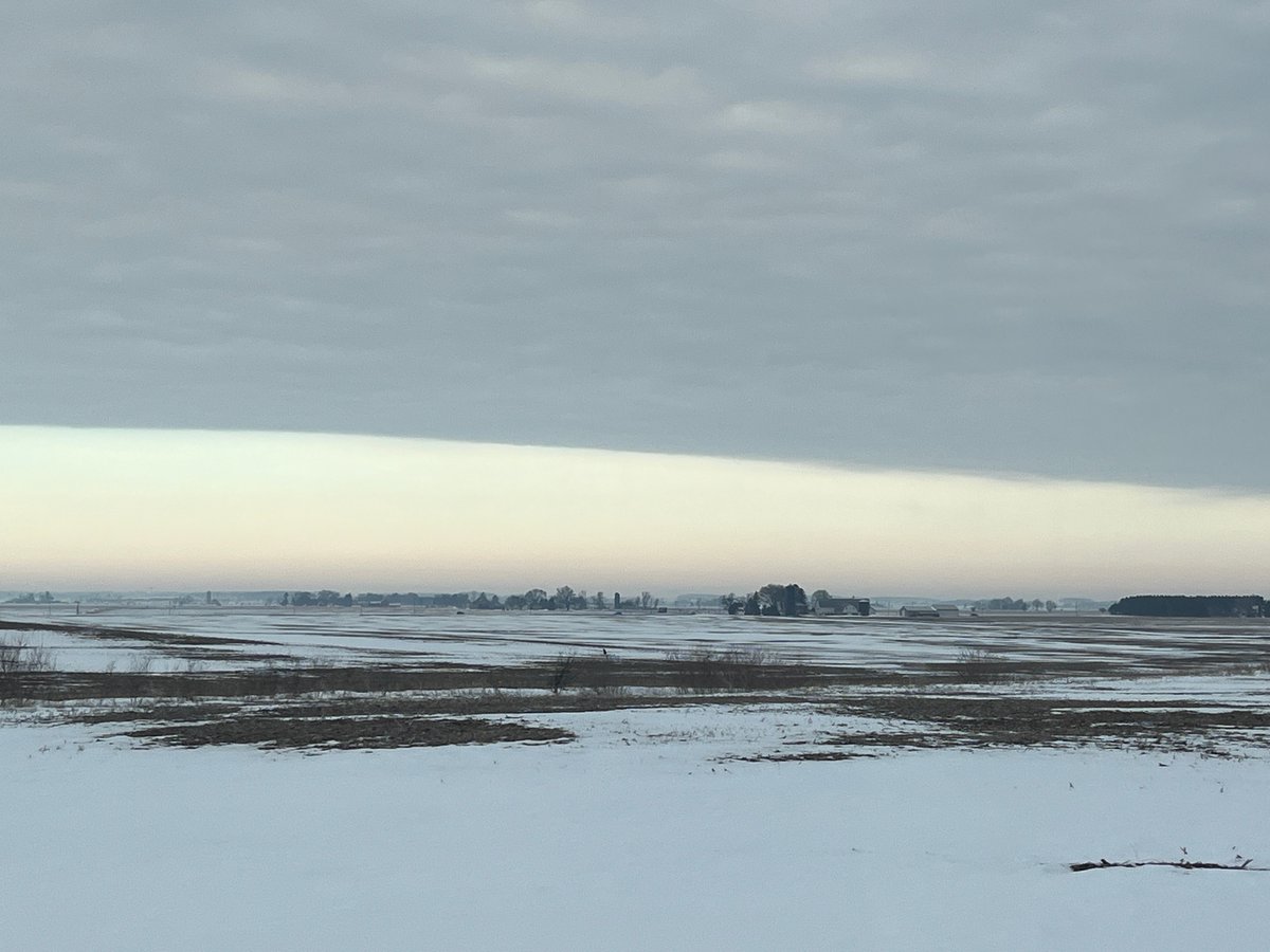 soilliam tweet media