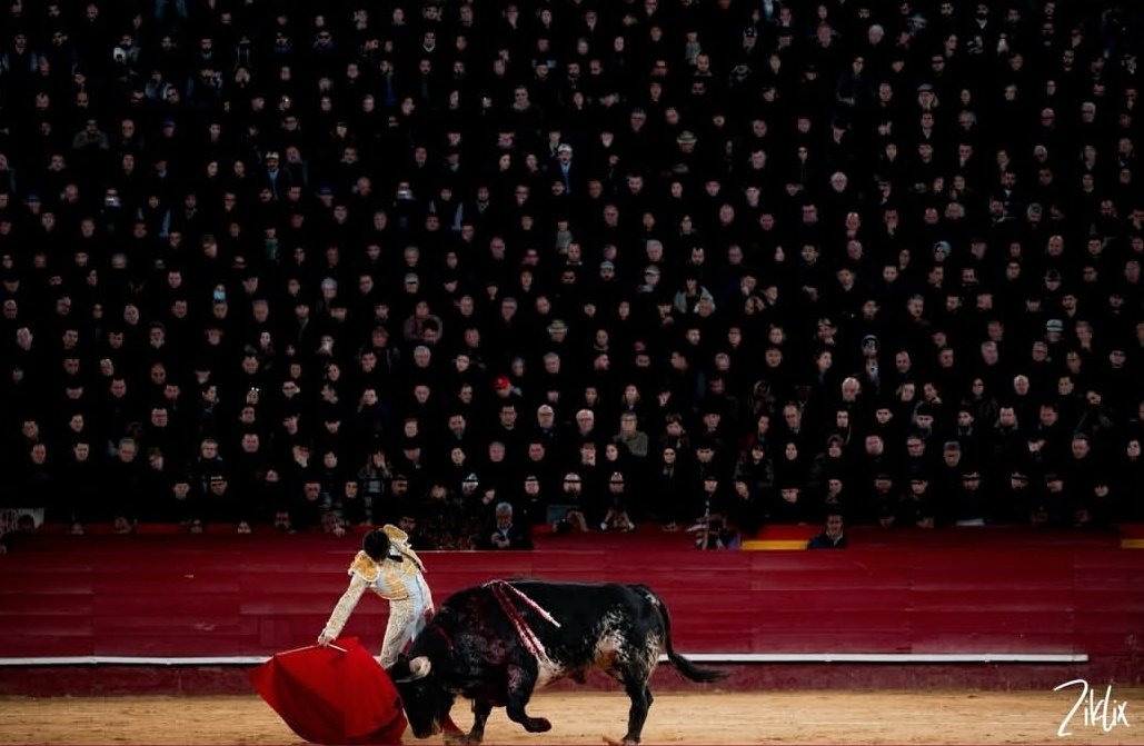 Amanoletao tweet media