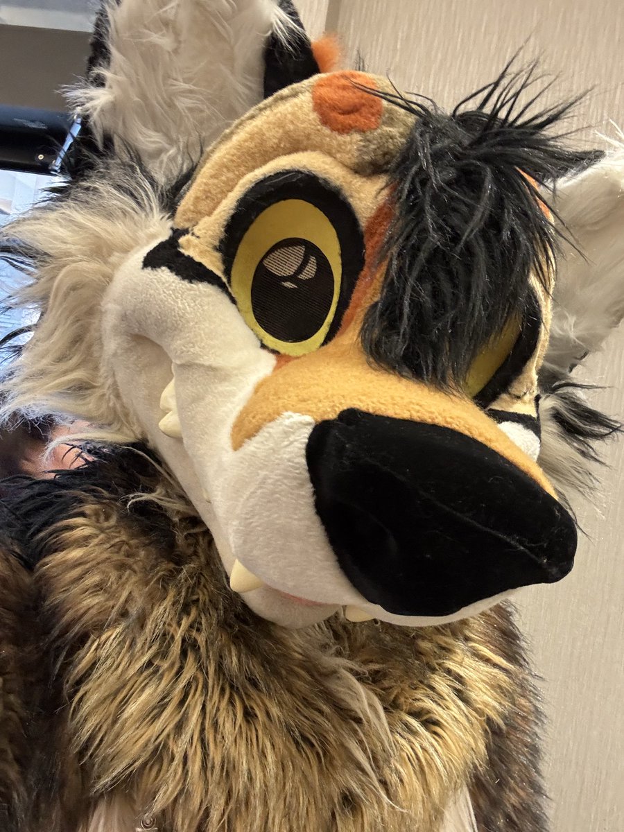 Tundru 🔜 LVFC tweet media