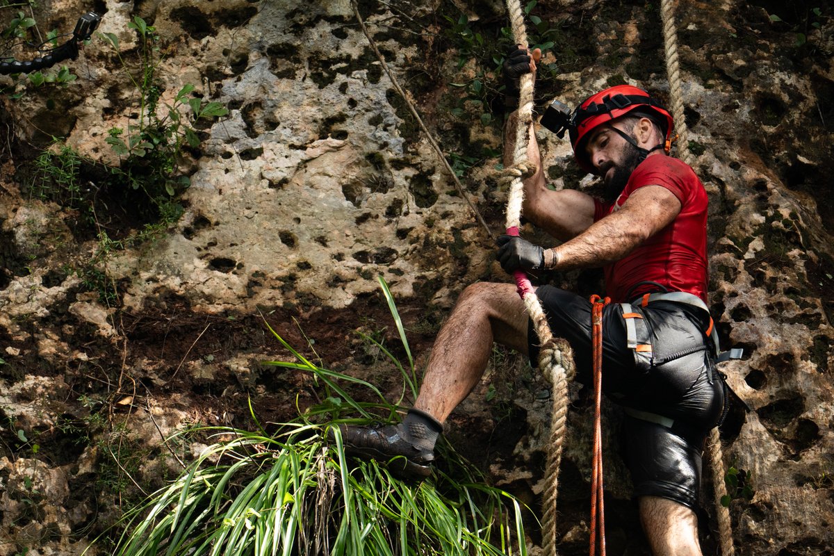 El Conquistador ETB tweet media