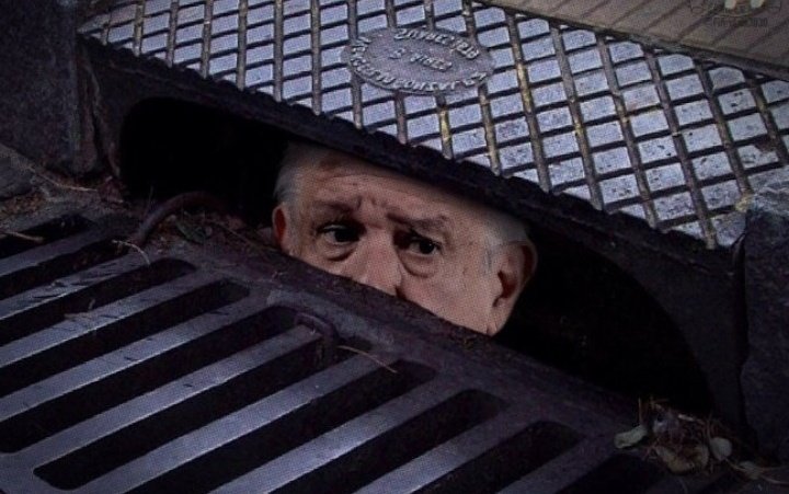 pancho el rodriguez tweet media