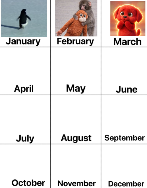 Tom Saccardo tweet media