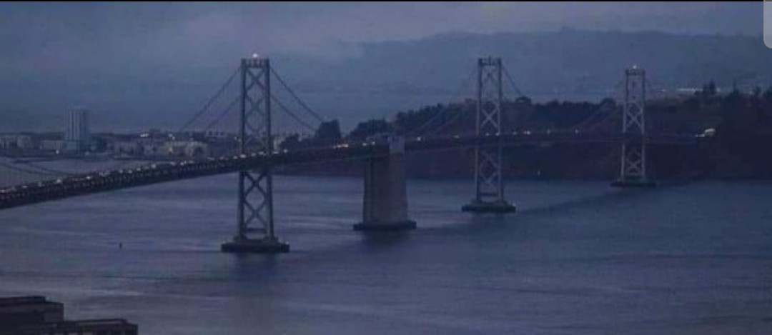 Troutski 🐟 ☭ 🇵🇸 tweet media