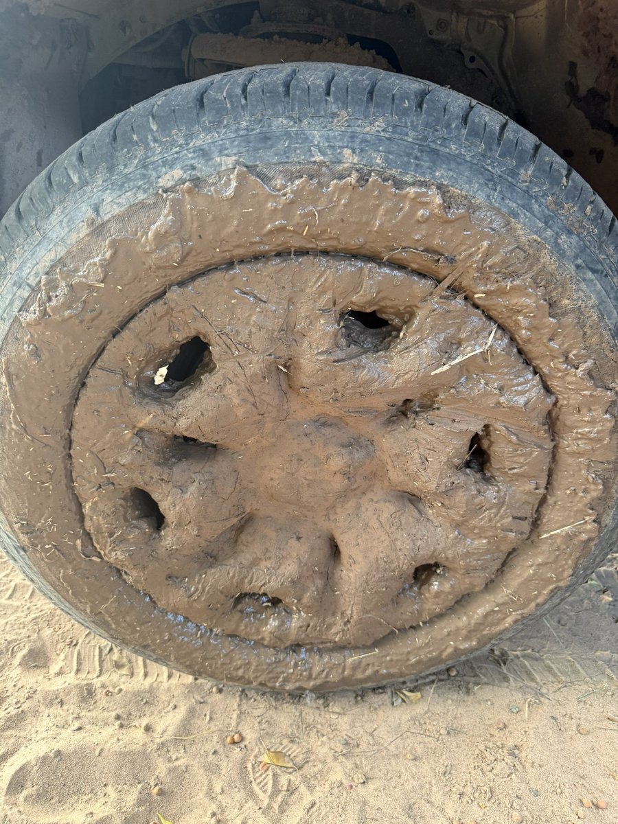 Pecho Ortiz tweet media