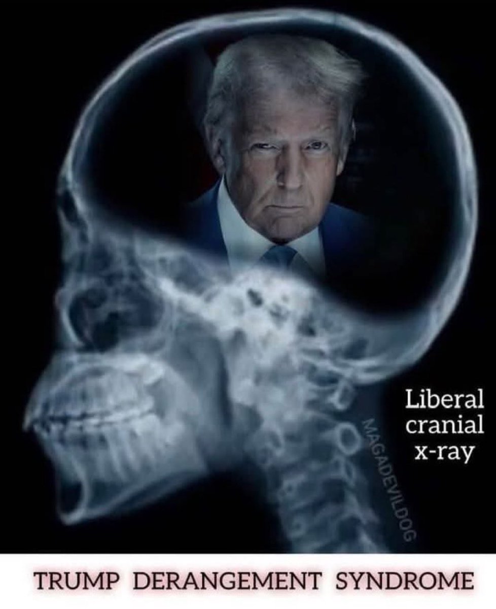 Bob 🇺🇸 tweet media