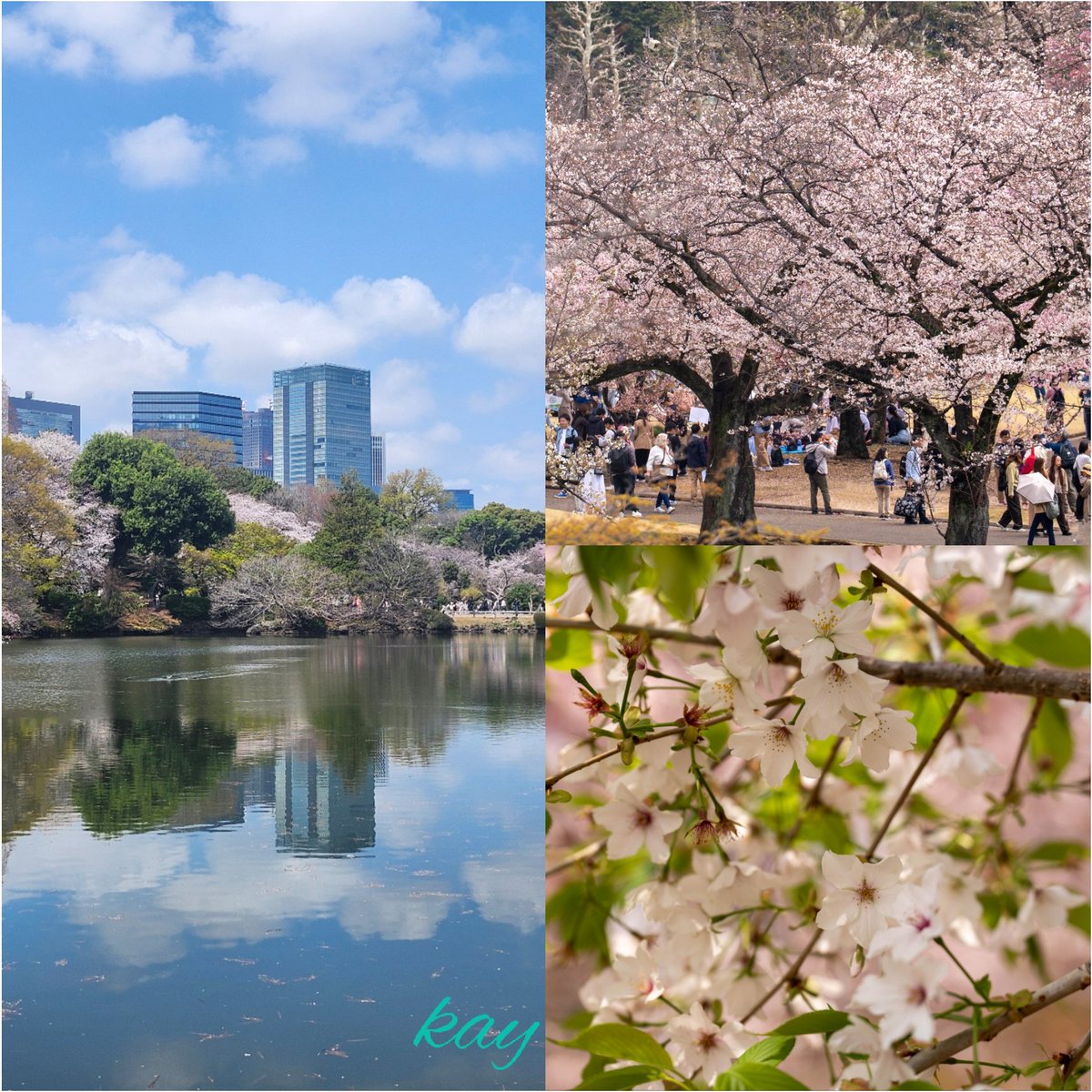 Kay II ✾月、水、金ポスト✾ tweet media