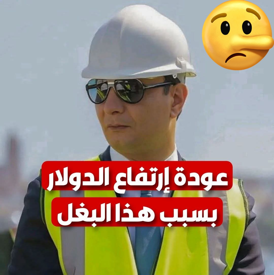 أســـــــــــــيـل معمر ღ 💚 الغزالة الشاردة tweet media