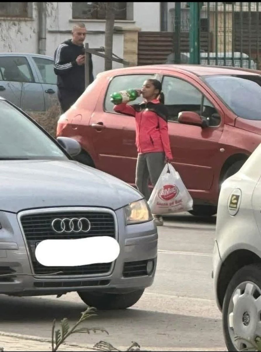 freesofia tweet media