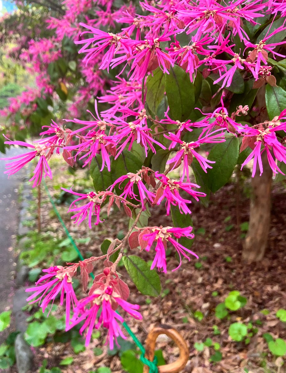 やっくん6 tweet media