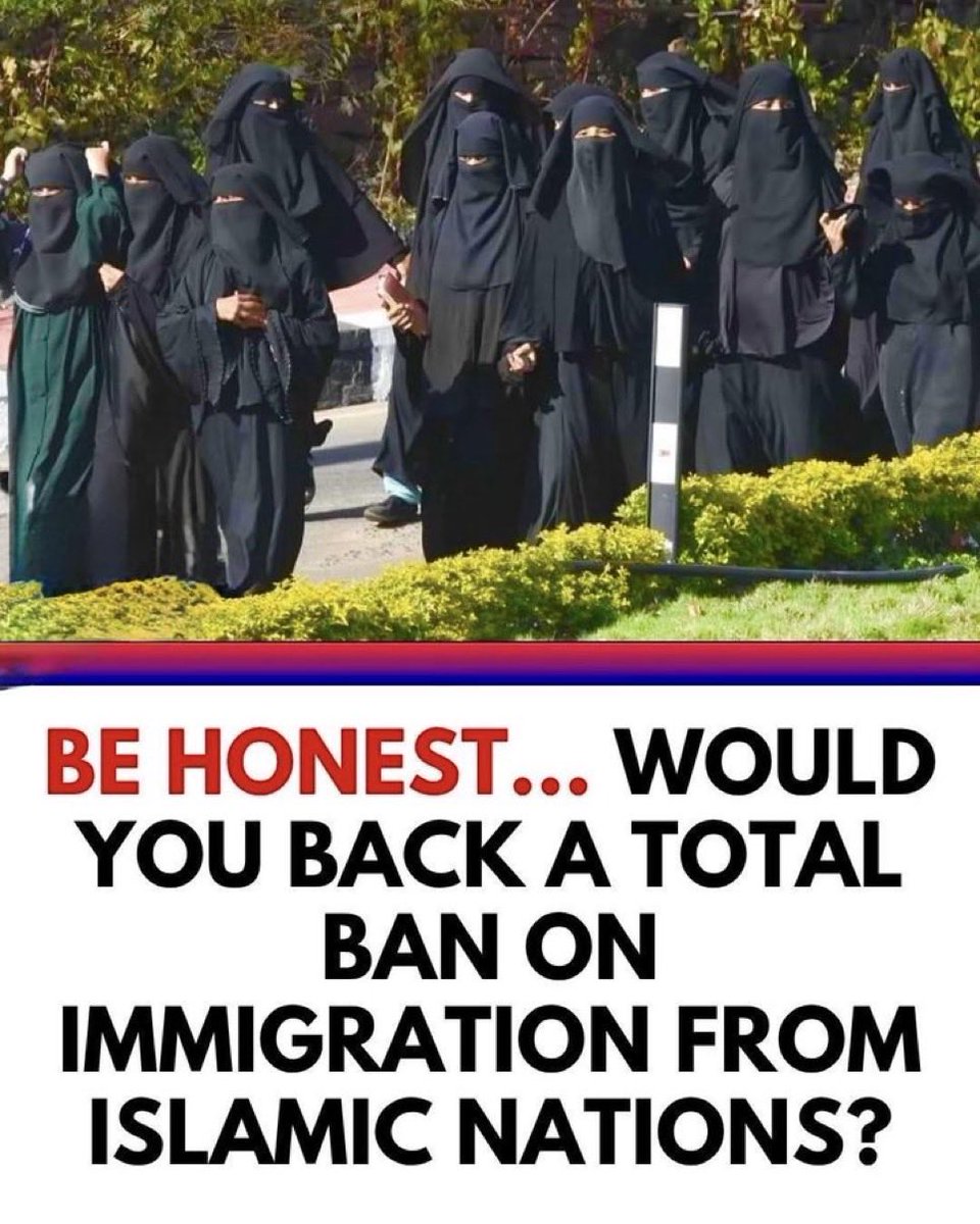 Proud Elephant 🇺🇸🦅 tweet media