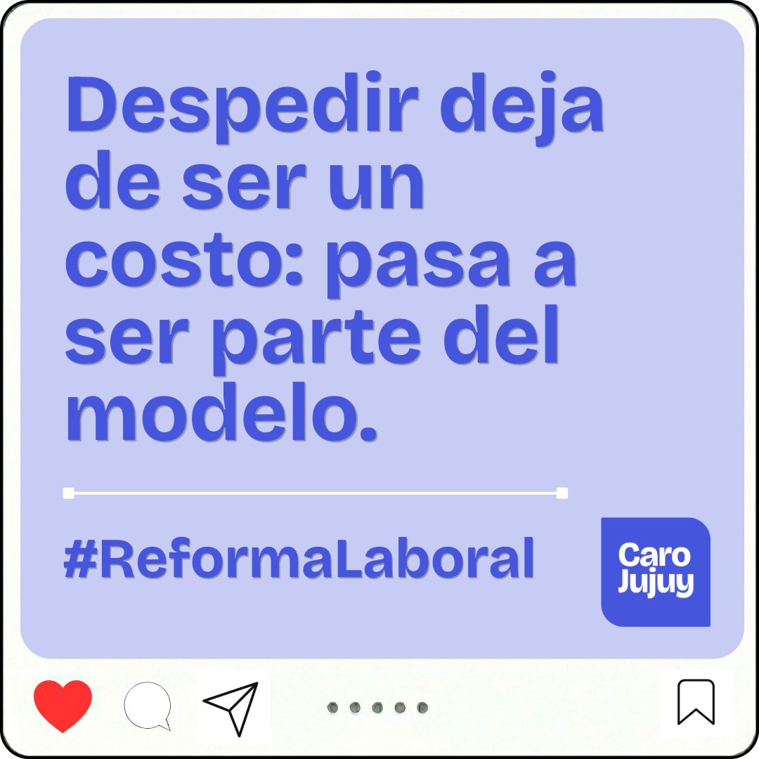 Carolina Moises tweet media