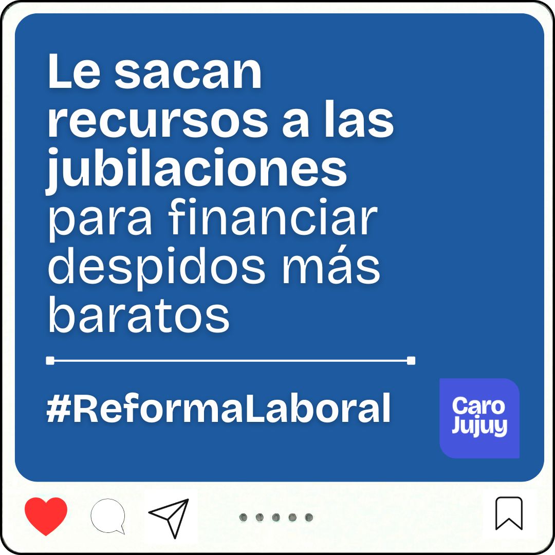 Carolina Moises tweet media