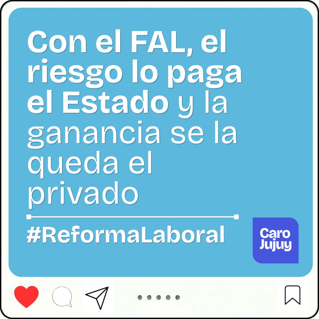 Carolina Moises tweet media