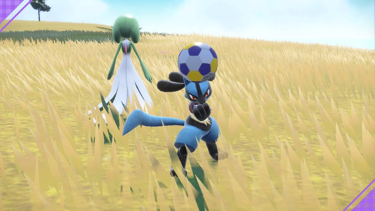 𝗋𝖺𝖿𝖿𝖺 tweet media