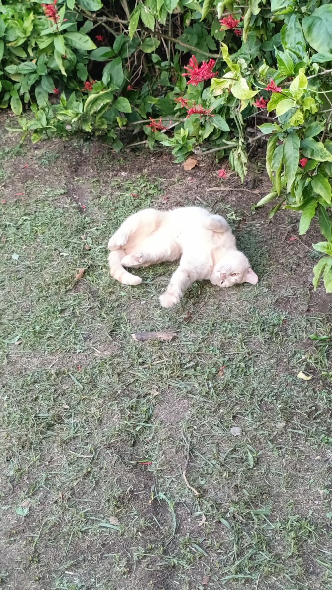 Marcos🇦🇷 tweet media