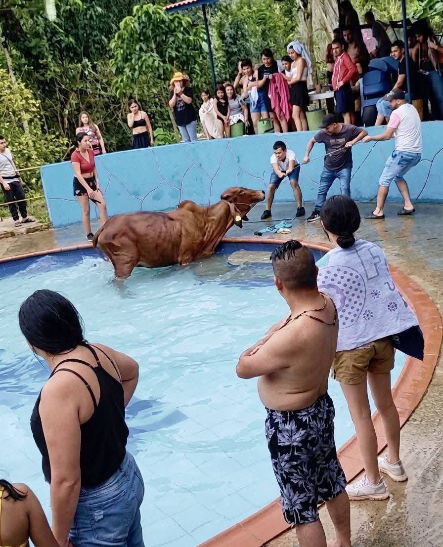 Sivar News tweet media