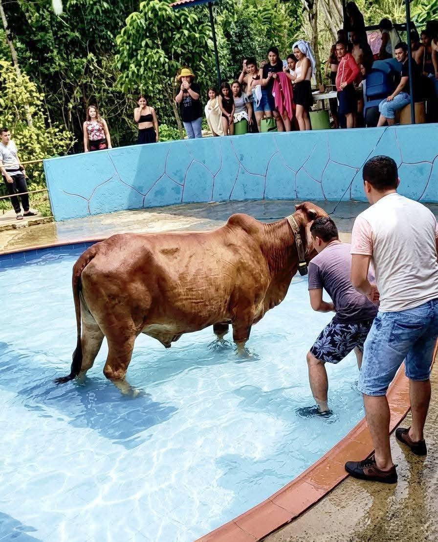 Sivar News tweet media