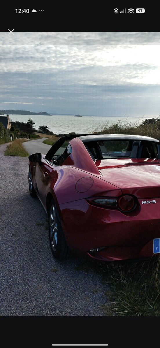 Dany Wylde tweet media