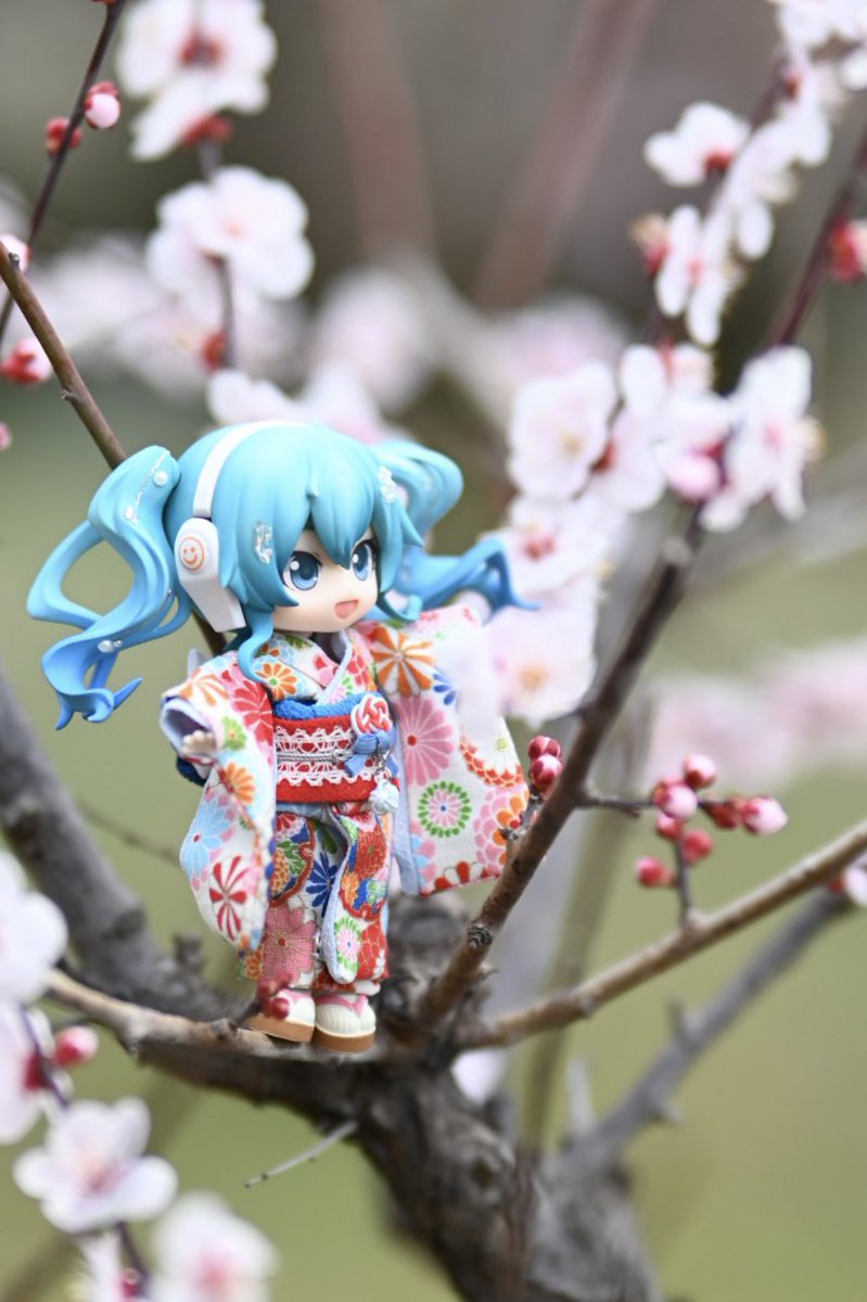 kijang_81(キジャン)@nextイドル大阪、セカイシンフォ、ミクシンフォ札幌 tweet media