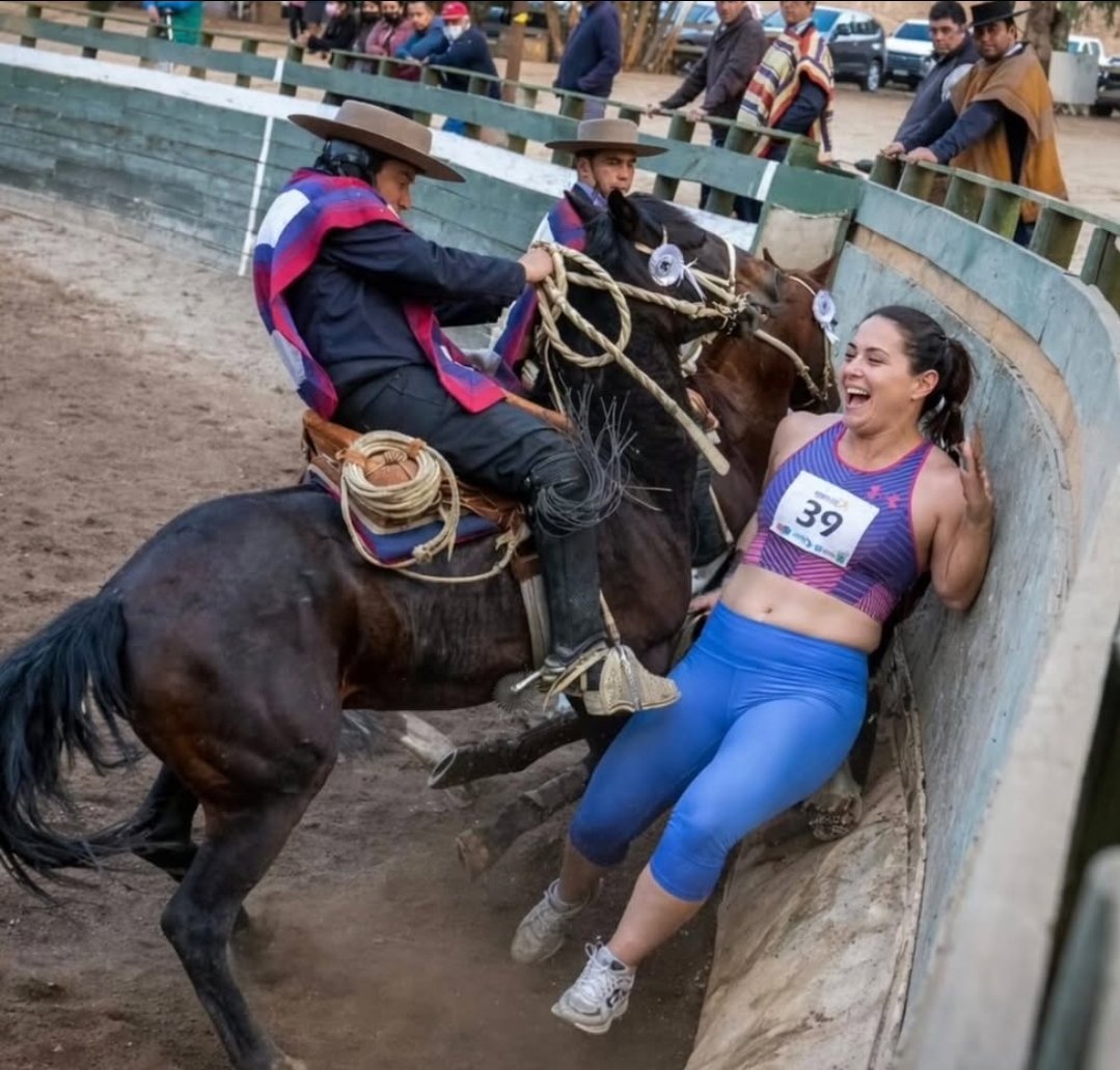 🐾🐾🐕🐾ɹɐןı̣Ԁ🐾🐕🐾🐾 tweet media