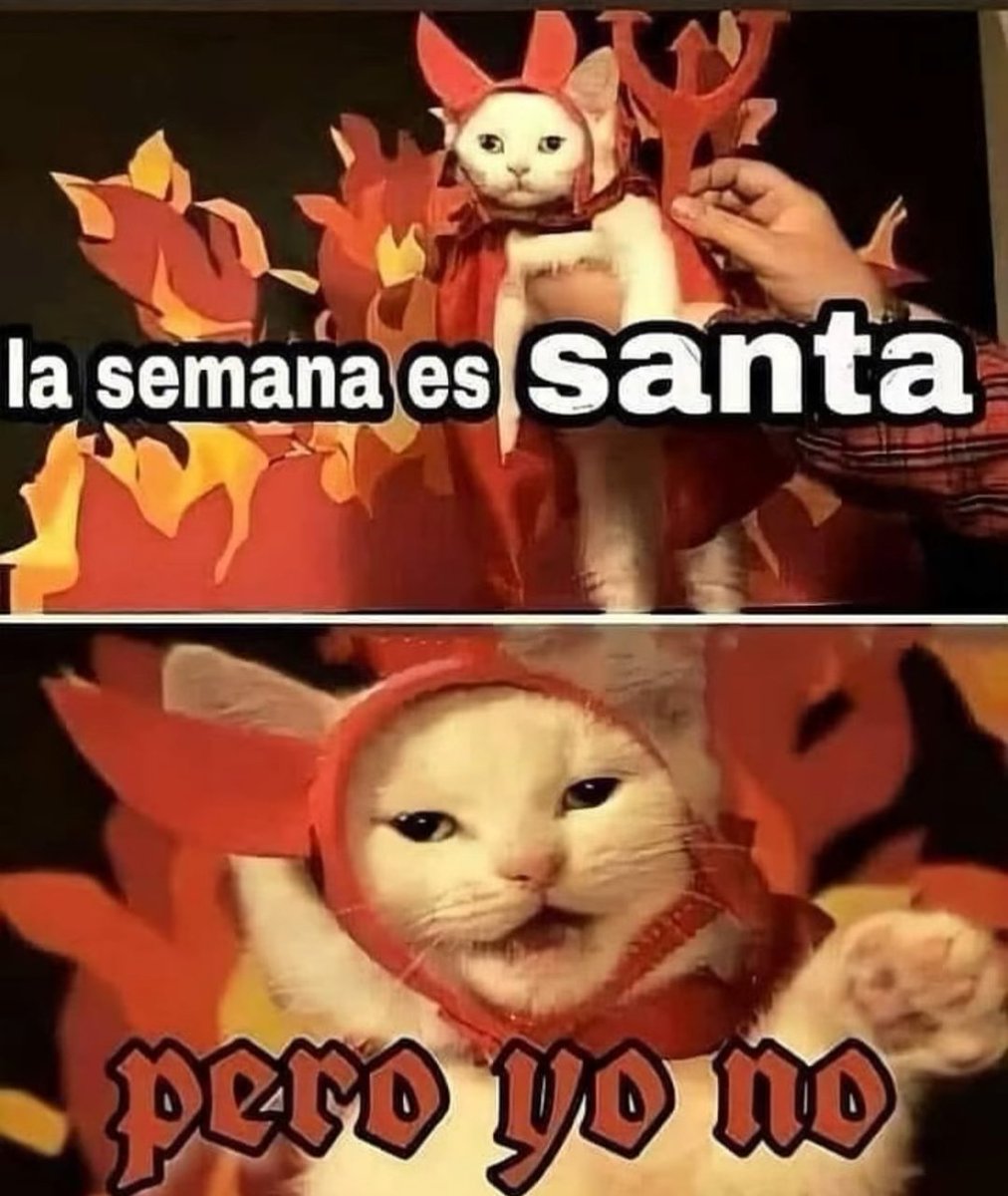 LEGEND FORCE tweet media