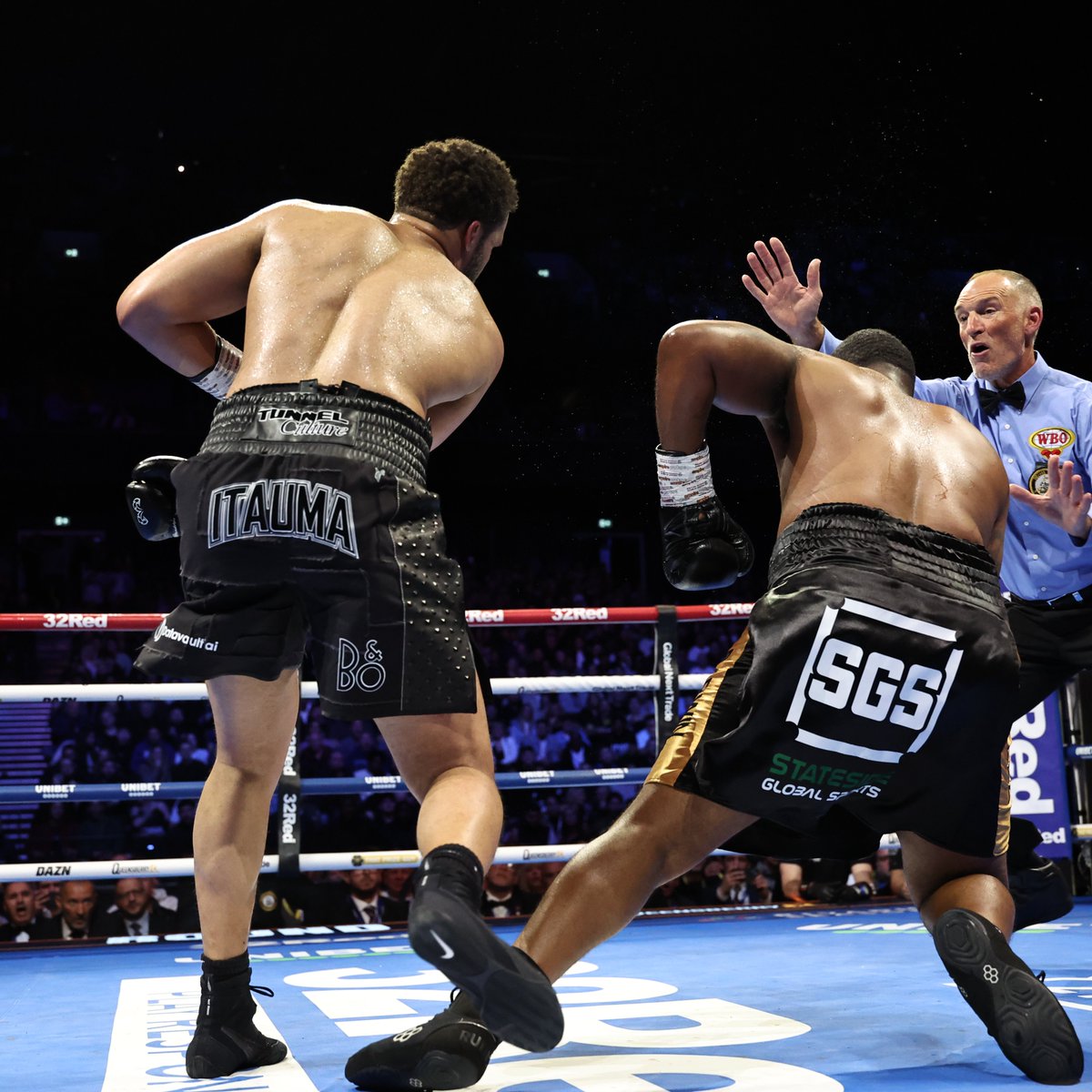 Steve Kim - the Thomas Sowell of Boxing tweet media