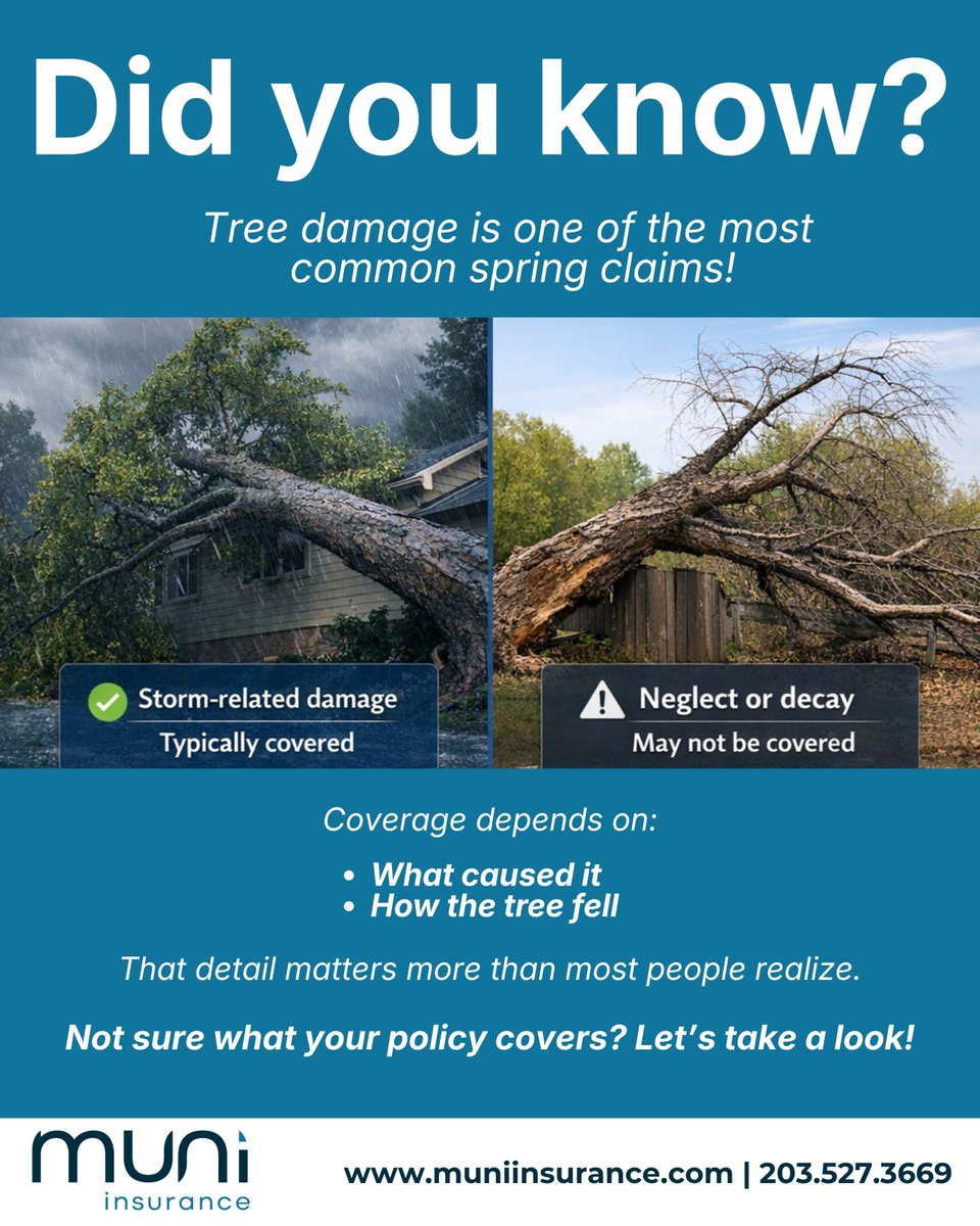 Muniinsurance's tweet photo. Most people assume tree damage is automatically covered.
If you’re not 100% sure what your policy covers, it’s time to take a look! 

https://t.co/XxOCo0Rmo3 
#muniinsurance #homeinsurance #insuranceawareness #propertyprotection #coveragecheck #insuranceoptions #insurance https://t.co/hWrBY68Wat