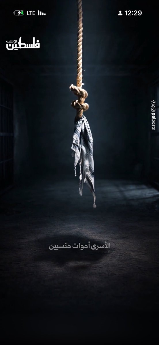 سلطان البرّاق tweet media