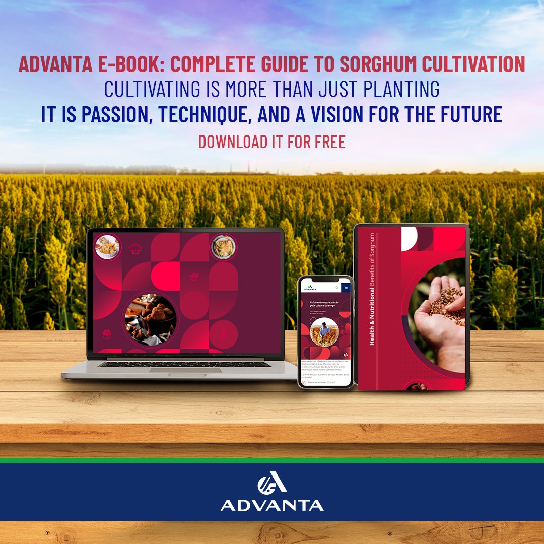 AdvantaSeedsUS's tweet photo. 🌾 Growing sorghum takes more than planting; it takes planning and precision.

Explore Sorghum: Delicious Recipes from Around the World and see how this crop goes beyond the field.  ￼

📖 Download your free copy: https://t.co/Sz9mcRL8E6 https://t.co/zkrNUHCa1a