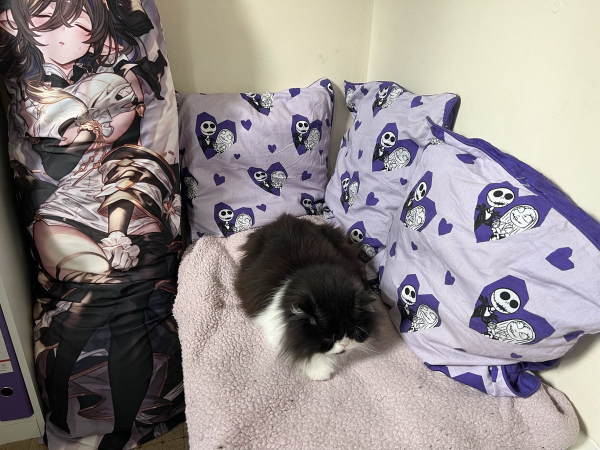 ⛧°. ⋆༺☾ 𝓩𝓮𝓵𝔂 𖤓༻⋆. °⛧ / New SSR Meteon please tweet media