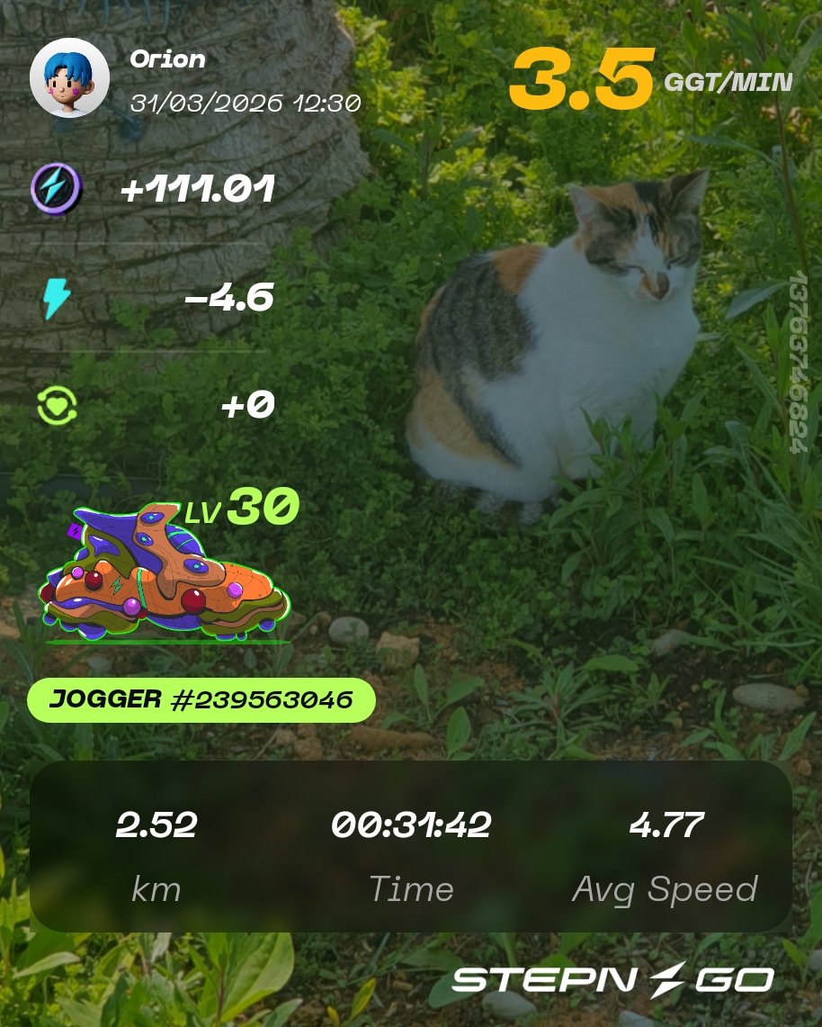 The Orion Man tweet media