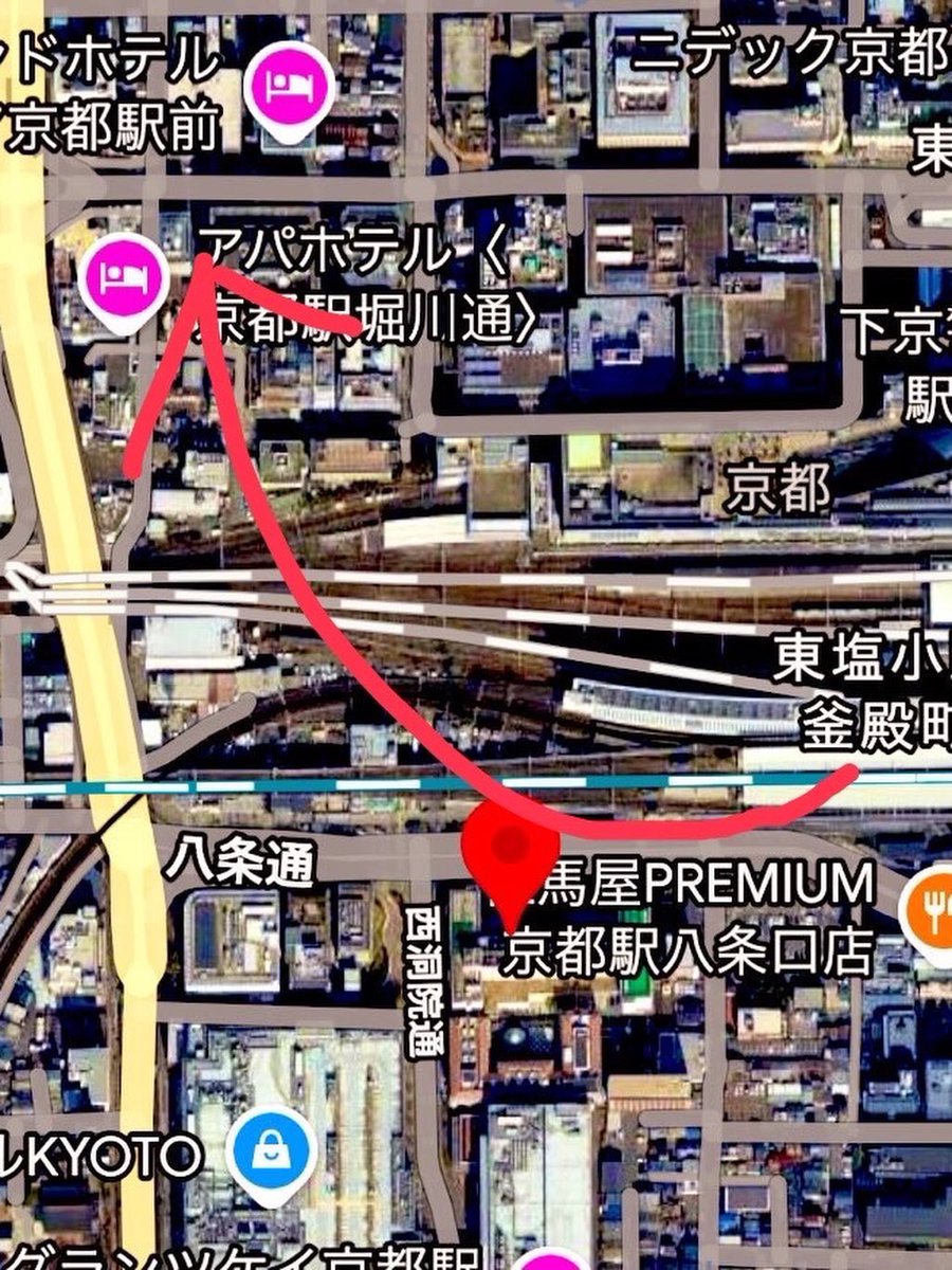 迷子インコ探してます【京都市内】 tweet media