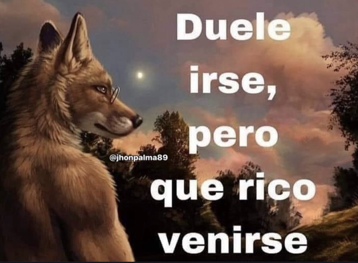 𓆩 luis 𓆪 tweet media