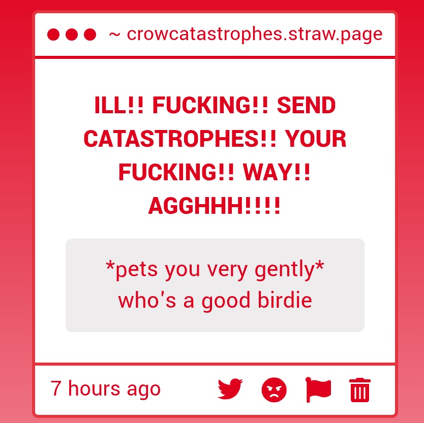 CHICKEN CHICKTASTROPHES⁉️🐔 tweet media