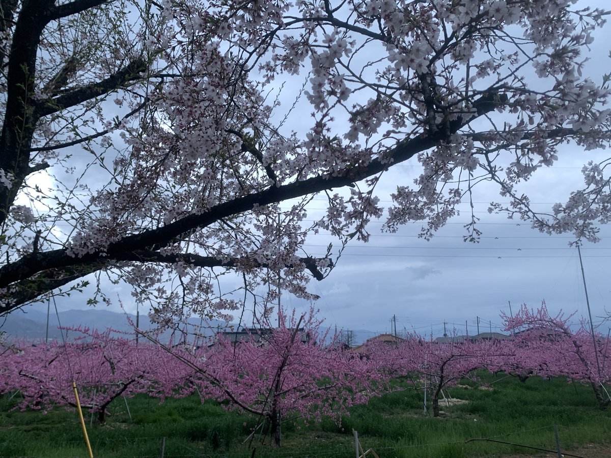 古屋製作所 〜 KAI的すまいと〜 tweet media